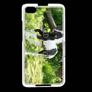 Coque Blackberry Z30 Poulain noir et blanc