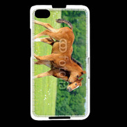 Coque Blackberry Z30 Poulains
