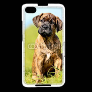 Coque Blackberry Z30 Portrait d'un mastiff