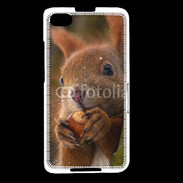 Coque Blackberry Z30 Portrait d'un écureuil avec une noisette