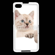 Coque Blackberry Z30 Petit chaton en portrait