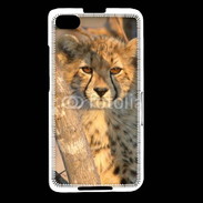 Coque Blackberry Z30 Jeune félin