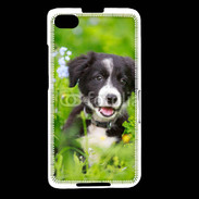 Coque Blackberry Z30 Chiot Border Collie 100