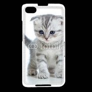 Coque Blackberry Z30 Chaton gris en balade