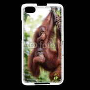 Coque Blackberry Z30 Famille de singe 50