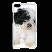 Coque Blackberry Z30 Chiot Shitzu 100