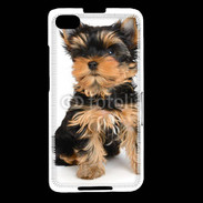 Coque Blackberry Z30 Yorkshire terrier 15
