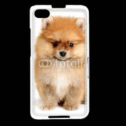 Coque Blackberry Z30 Chiot Spitz 15