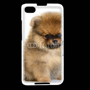 Coque Blackberry Z30 Chiot Pomeranian 15