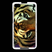 Coque Blackberry Z30 Œil du tigre PB 1