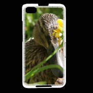 Coque Blackberry Z30 Canard sauvage PB 1