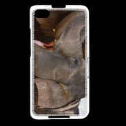 Coque Blackberry Z30 DP Éléphant 1