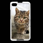 Coque Blackberry Z30 Portrait de chat PR