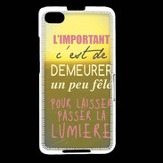 Coque Blackberry Z30 Un peu félé ZG