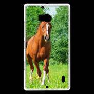Coque Nokia Lumia 930 Cheval arabe robe marron et blanche