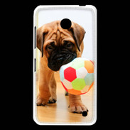 Coque Nokia Lumia 630 Bull mastiff chiot