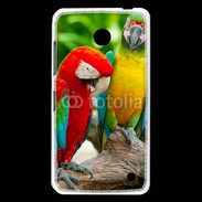 Coque Nokia Lumia 630 Couple de perroquets