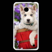 Coque Nokia Lumia 630 Portrait chiot Husky de Sibérie 1