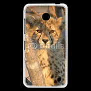 Coque Nokia Lumia 630 Jeune félin