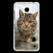 Coque Nokia Lumia 630 Portrait de chat PR