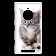 Coque Nokia Lumia 830 chaton gris 4