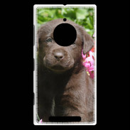 Coque Nokia Lumia 830 Chien labrador chocolat 3