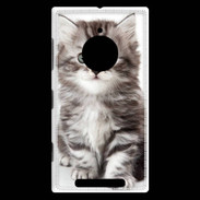 Coque Nokia Lumia 830 Chaton gris 