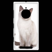 Coque Nokia Lumia 830 Chat siamois 25