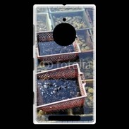 Coque Nokia Lumia 830 Conchyliculteur