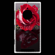 Coque Nokia Lumia 830 Belle rose Rouge 10
