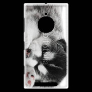 Coque Nokia Lumia 830 Chiot Husky