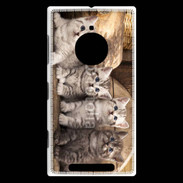 Coque Nokia Lumia 830 Chaton gris 2