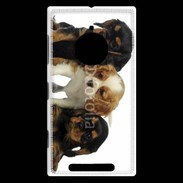 Coque Nokia Lumia 830 Chiot King Charles