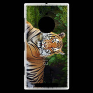 Coque Nokia Lumia 830 Tigre de Sumatra