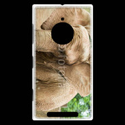 Coque Nokia Lumia 830 Elephant d'Afrique