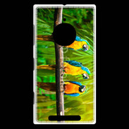 Coque Nokia Lumia 830 Trois perroquets bleu et jaune