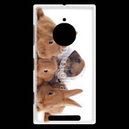 Coque Nokia Lumia 830 Gardien de lapins