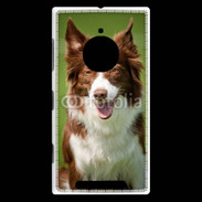 Coque Nokia Lumia 830 Chien Colley marron et blanc