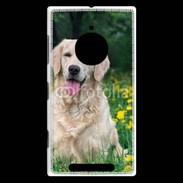 Coque Nokia Lumia 830 Portrait de Chien Golden 5