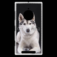 Coque Nokia Lumia 830 Chien Husky de Sibérie