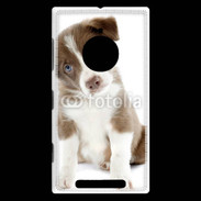 Coque Nokia Lumia 830 Chiot Colley marron et blanc