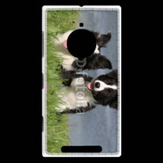Coque Nokia Lumia 830 Chien Border Collie noir et blanc