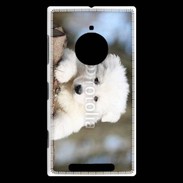 Coque Nokia Lumia 830 Chiot berger blanc suisse