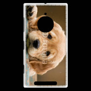 Coque Nokia Lumia 830 Chiot labrador golden 2