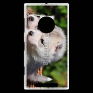 Coque Nokia Lumia 830 Chiot Husky de Sibérie 3