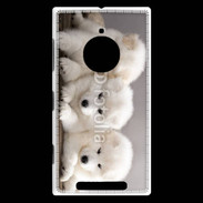 Coque Nokia Lumia 830 Chiot japonais blanc
