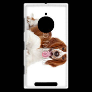 Coque Nokia Lumia 830 Chien Springer Spaniel
