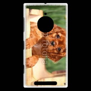 Coque Nokia Lumia 830 Chiot King Charles 2