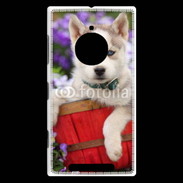 Coque Nokia Lumia 830 Portrait chiot Husky de Sibérie 1