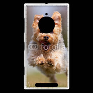 Coque Nokia Lumia 830 Yorkshire terrier 6